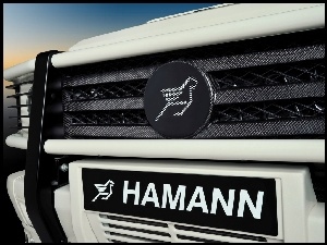 Karbon, Logo, Hamann