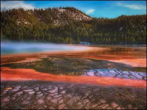 Park Narodowy Yellowstone, Gejzer, GĂłra, Stan Wyoming, GorÄce ĹşrĂłdĹo, Drzewa, Stany Zjednoczone, Grand Prismatic Spring