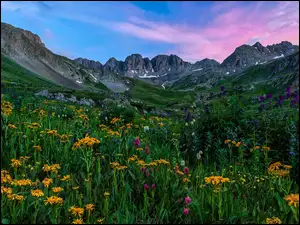 ĹÄka, Kolorado, Niebo, Kwiaty, SkaĹy, San Juan Mountains, GĂłry, Stany Zjednoczone, Polana