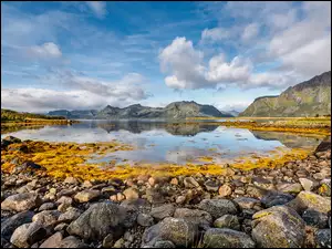 Kamienie na brzegu jezioraw archipelagu Lofoty