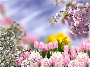 Graficzne wiosenne barwne kwiaty