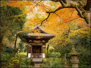 Świątynia, Jesień, Drzewa, Park, Pagoda