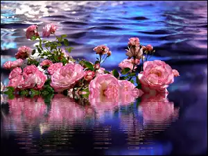 Róże odbijające się w wodzie
