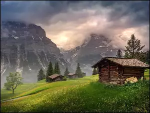 Łąka, Szwajcaria, Góry, Domki, Chmury