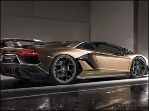 Bok, Lamborghini Aventador SVJ, Roadster
