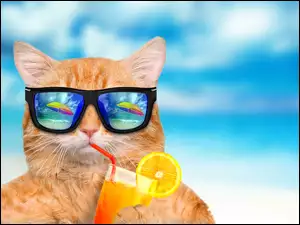 Rudy kot w okularach popija pomarańczowy sok