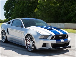 Mustang Ford Shelby