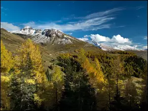 Góry i dolina między drzewami