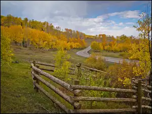 Ogrodzenie na jesiennym wzgórzu przy krętej drodze wśród drzew