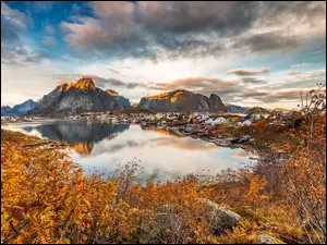 Lofoty, Norwegia, Góry, Morze, Jesień, Drzewa