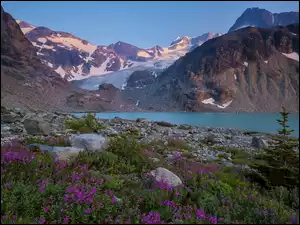Park prowincjonalny Garibaldi, Góry, Kwiaty, Kolumbia Brytyjska, Jezioro Wedgemount, Kamienie, Kanada, Drzewo