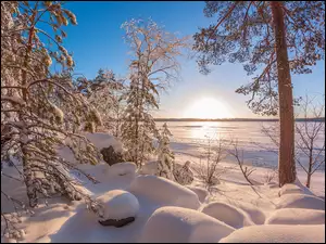 Drzewa i zaspy śniegu na tle zamarzniętego jeziora w słonecznym blasku