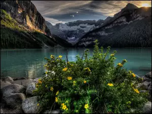 Kwiaty, Góry, Jezioro, Kamienie