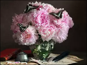 Motyle na różowych piwoniach