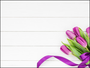 Tulipany z fioletową wstążką