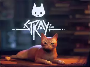 Postać kota na plakacie do gry Stray