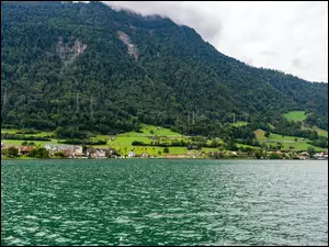 Kanton Schwyz, Arth, Domy, Szwajcaria, Lasy, Góry, Jezioro Zugersee