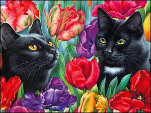 Dwa czarne koty pośród kolorowych tulipanów
