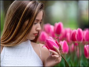 Tulipany, Szatynka, Kobieta