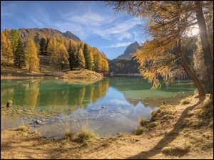 Górskie jezioro z jesiennymi drzewami