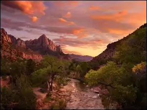Park Narodowy Zion, Góry, Drzewa, Utah, Rzeka, Chmury, Stany Zjednoczone, Virgin River