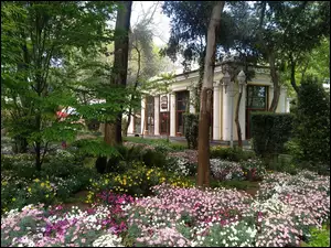 Ogród gubernatora w Baku