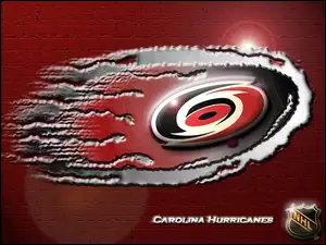 Carolina Hurricanes, Logo, Hokejowej, Drużyny, NHL