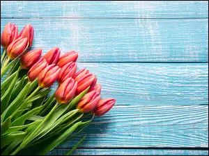Tulipany, Niebieskie, Bukiet, Kwiaty, Deski