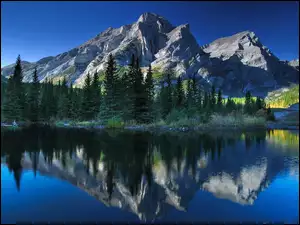 Góra Kidd RV Park, Jezioro, Lasy, Kanada, Drzewa, Prowncja Alberta