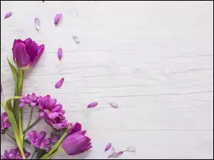 Bukiecik fioletowych kwiatów
