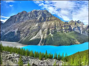Lazurowe górskie jezioro w Kanadzie otoczone lasem