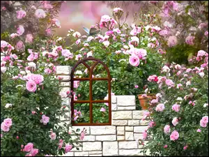 Różany ogród