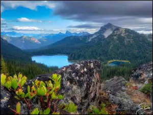 William O Douglas Wilderness, Góry, Jezioro, Waszyngton, Las, Chmury, Stany Zjednoczone, Drzewa