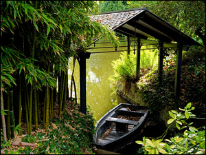 Łódka pod zadaszeniem obok bambusów