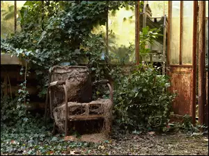 Zniszczony fotel w starej oranżerii porośniętej bluszczem