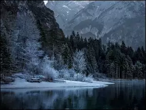 Ławeczka przy brzegu rzeki w górskim zimowym lesie o zmroku