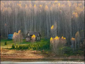 Domki pod jesiennymi brzozami na brzegu rzeki