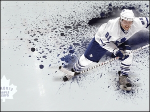 Hokeista z kanadyjskiego klubu hokejowego Toronto Maple Leafs
