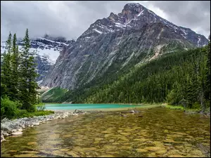 Góry, Mount Edith Cavell, Drzewa, Rzeka, Alberta, Lasy, Góra, Kanada, Astoria River, Park Narodowy Jasper, Chmury