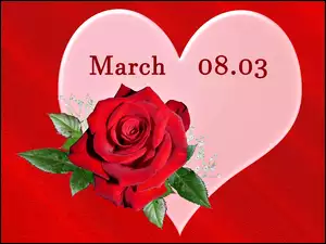 Dzień Kobiet z datą sercem i różą