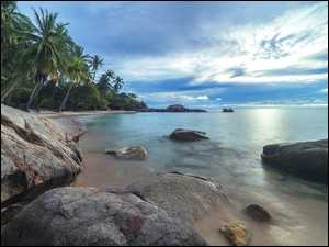Morze z kamieniami i palmami