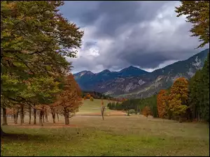 Kolorowe, Polana, Góry, Jesień, Drzewa