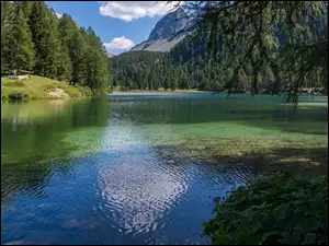 Zielone, Las, Jezioro, GĂłry, Drzewa
