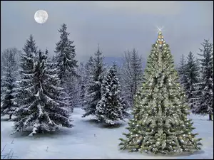 Świąteczna choinka w ośnieżonym lesie w blasku księżyca