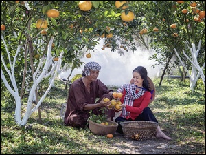 Mężczyzna i dziewczyna w ogrodzie z mandarynkami