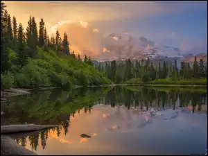 Góry, Drzewa, Stany Zjednoczone, Jezioro, Stan Waszyngton, Park Narodowy Mount Rainier, Las