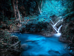 Piękna natura w niebieskim kolorze