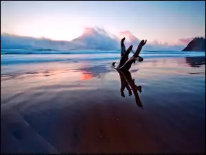Konar na morskiej plaży