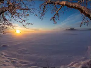 Zamarznięte, Zima, Wschód słońca, Drzewa, Jezioro, Ośnieżone