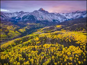 Góry Skaliste, Jesień, Szczyt, Lasy, Stany Zjednoczone, Mount Sneffels, Drzewa, Kolorado